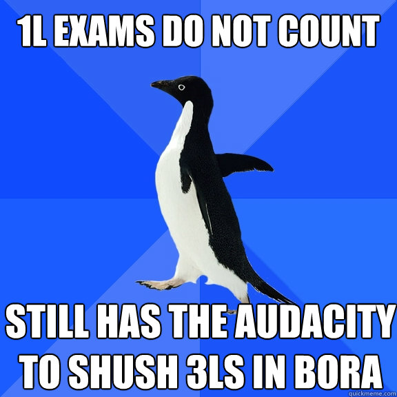 1L Exams do not count Still has the audacity to shush 3Ls in Bora  Socially Awkward Penguin