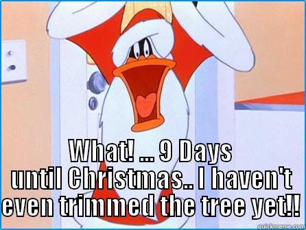  WHAT! ... 9 DAYS UNTIL CHRISTMAS.. I HAVEN'T EVEN TRIMMED THE TREE YET!! Misc