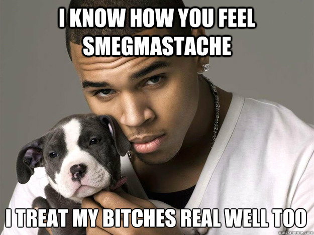 I know how you feel Smegmastache I treat my bitches real well too - I know how you feel Smegmastache I treat my bitches real well too  Chris Brown