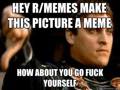 Hey r/memes make this picture a meme how about you go fuck yourself  Downvoting Roman