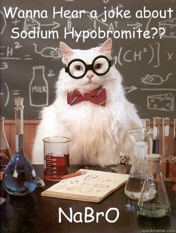 Wanna Hear a joke about Sodium Hypobromite?? NaBrO  Chemistry Cat