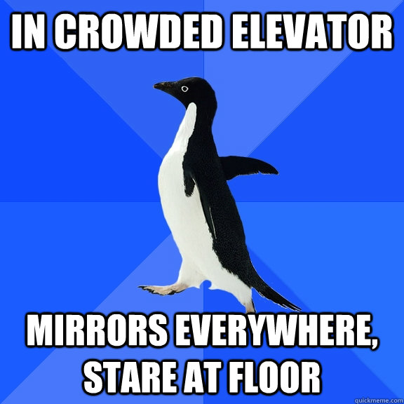 In crowded elevator Mirrors everywhere, stare at floor  Socially Awkward Penguin