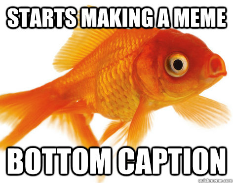 starts making a meme bottom caption  Forgetful Fish