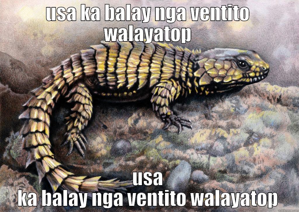 USA KA BALAY NGA VENTITO WALAYATOP USA KA BALAY NGA VENTITO WALAYATOP Misc