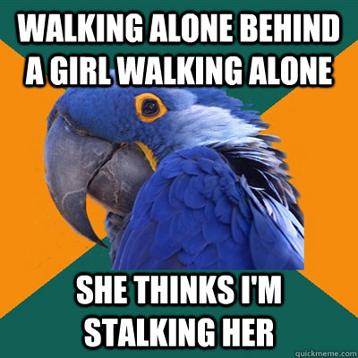 Walking alone behind a girl walking alone she thinks I'm stalking her  Paranoid Parrot