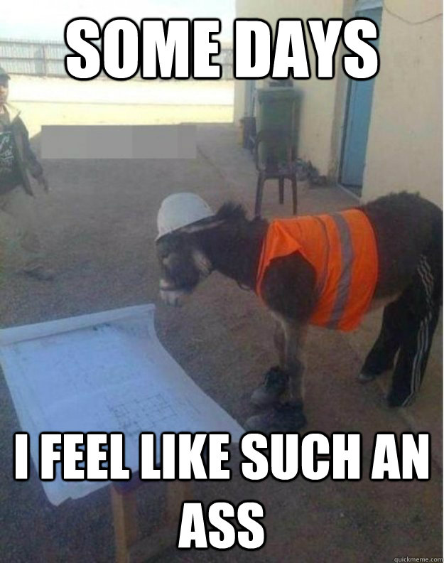 Some Days I feel like such an ass  - Some Days I feel like such an ass   Misc