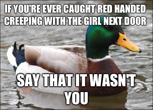 If you're ever caught red handed creeping with the girl next door Say that it wasn't you  Actual Advice Mallard