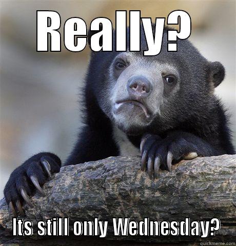 Weekend only wednesday - REALLY? ITS STILL ONLY WEDNESDAY? Confession Bear