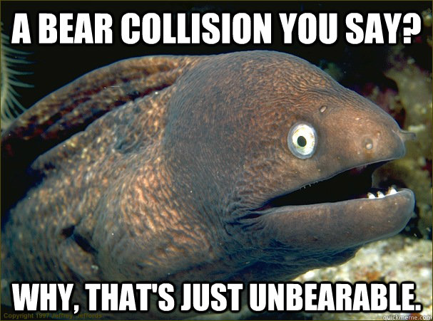 A bear collision you say? Why, that's just unbearable.  Bad Joke Eel