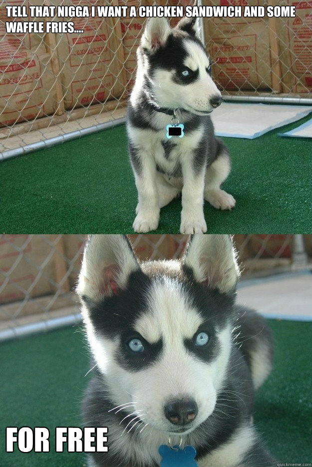 Tell that Nigga I want a chicken sandwich and some waffle fries.... For FREE  Insanity puppy