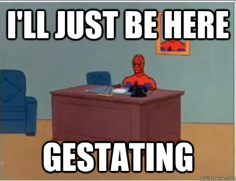 I'll just be here Gestating - I'll just be here Gestating  Misc