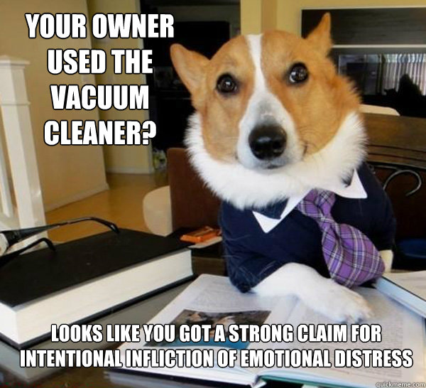 Your owner used the vacuum cleaner? Looks like you got a strong claim for intentional infliction of emotional distress  Lawyer Dog