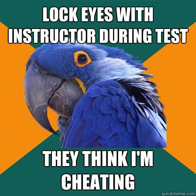 Lock eyes with instructor during test They think i'm cheating - Lock eyes with instructor during test They think i'm cheating  Paranoid Parrot