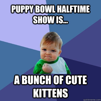 Puppy bowl halftime show is... a bunch of cute kittens  Success Kid