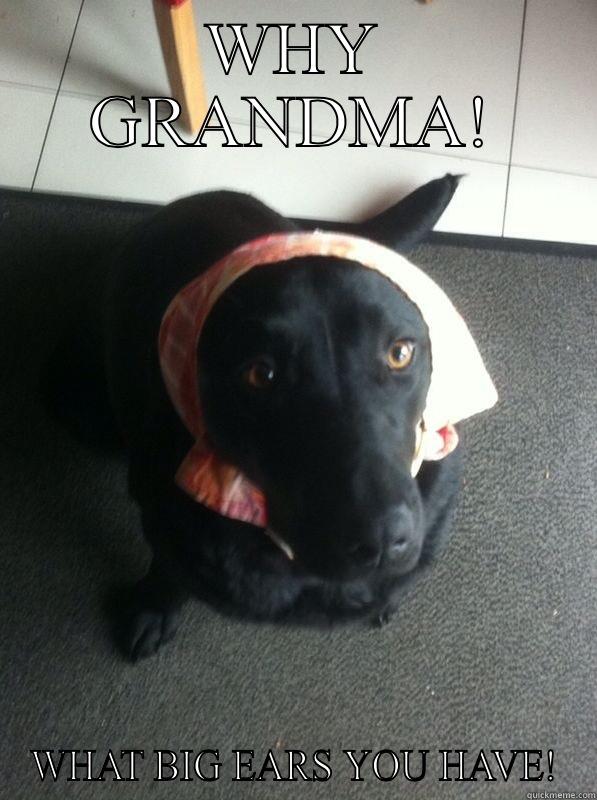 WHY GRANDMA! WHAT BIG EARS YOU HAVE! Misc