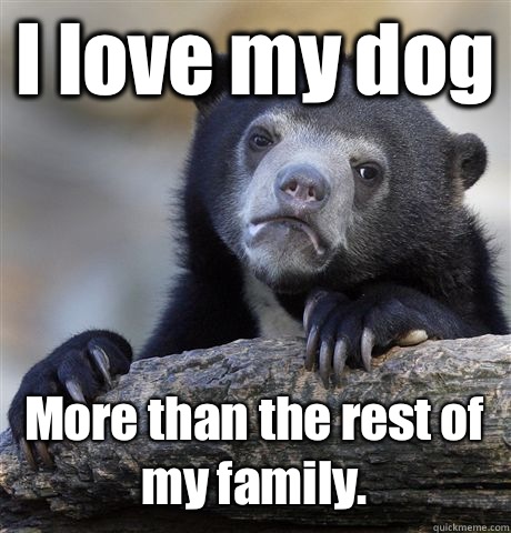 I love my dog More than the rest of my family.  Confession Bear