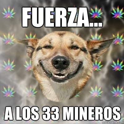 Fuerza...  a los 33 mineros  Stoner Dog