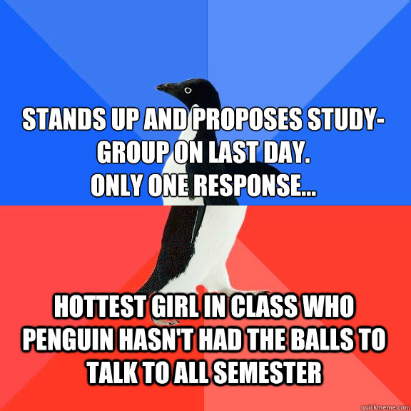 stands up and proposes study-group on last day. 
only one response... hottest girl in class who penguin hasn't had the balls to talk to all semester  Socially Awkward Awesome Penguin