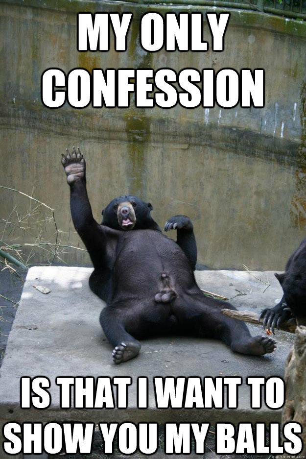 my only confession is that i want to show you my balls  Ballsy Bear
