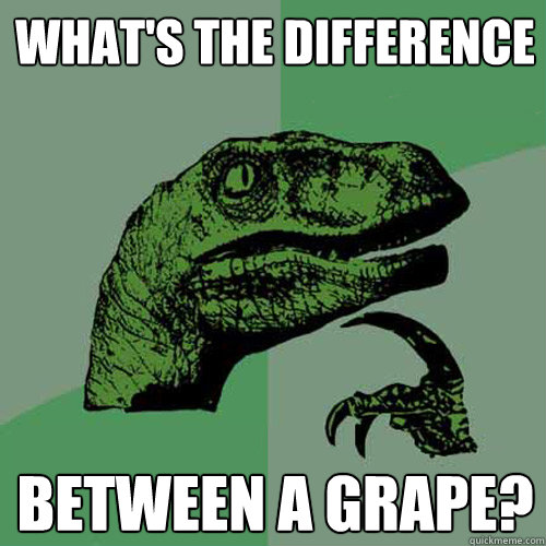 What's the difference between a grape?  Philosoraptor