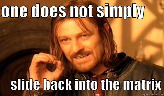 ONE DOES NOT SIMPLY            SLIDE BACK INTO THE MATRIX Boromir