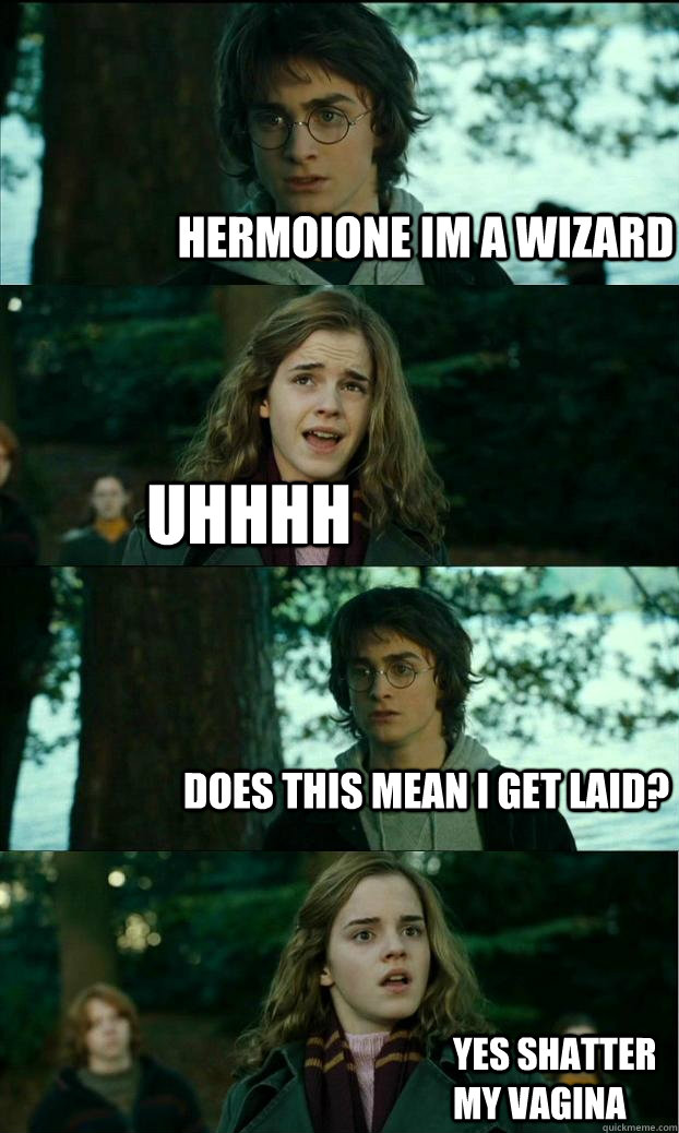 Hermoione im a wizard uhhhh does this mean i get laid? YES SHATTER MY VAGINA  Horny Harry