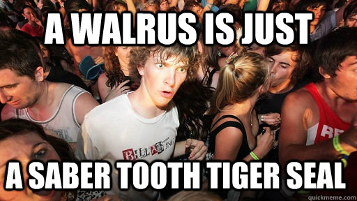 a walrus is just  a saber tooth tiger seal  Sudden Clarity Clarence