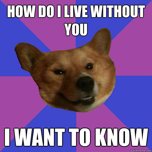 How do I live without you I want to know - How do I live without you I want to know  Flirti Corgi