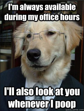 I'm always available during my office hours I'll also look at you whenever I poop  Professor Dog