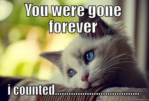 YOU WERE GONE FOREVER I COUNTED..................................... First World Problems Cat
