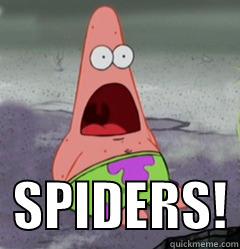Pattrick's Nightmare -    SPIDERS! Misc