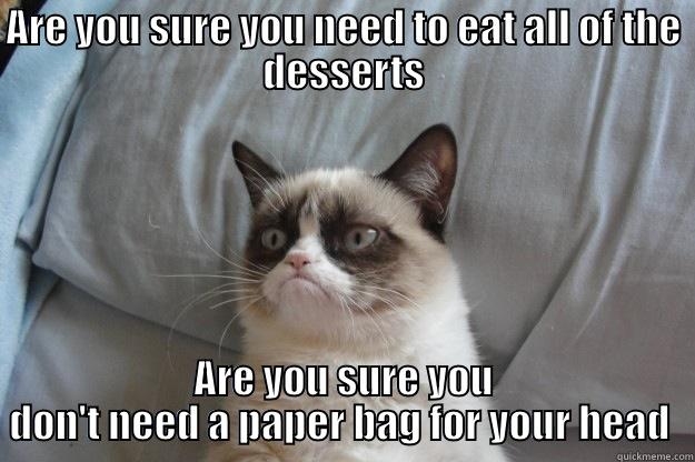 ARE YOU SURE YOU NEED TO EAT ALL OF THE DESSERTS ARE YOU SURE YOU DON'T NEED A PAPER BAG FOR YOUR HEAD  Grumpy Cat