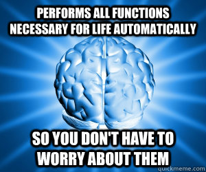 Performs all functions necessary for life automatically so you don't have to worry about them - Performs all functions necessary for life automatically so you don't have to worry about them  Good Guy Brain