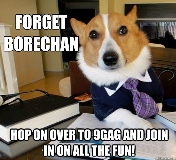 forget borechan hop on over to 9gag and join in on all the fun! - forget borechan hop on over to 9gag and join in on all the fun!  Lawyer Dog