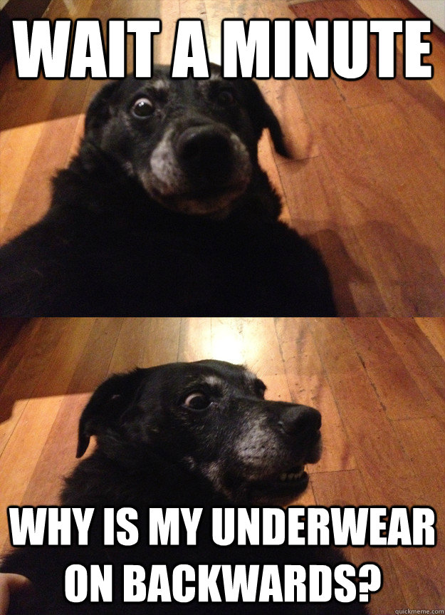 wait a minute why is my underwear on backwards? - wait a minute why is my underwear on backwards?  suddenly sober dog