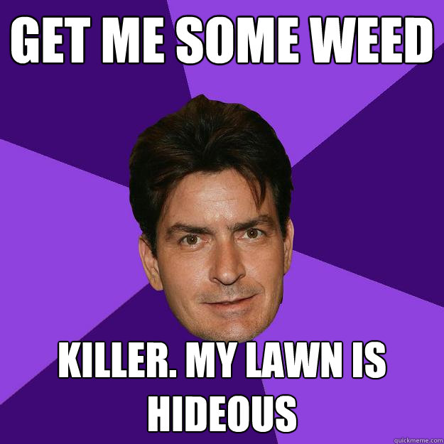 GET ME SOME WEED killer. my lawn is hideous  Clean Sheen