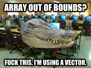 Array out of bounds? Fuck this, I'm using a vector. - Array out of bounds? Fuck this, I'm using a vector.  Computer Science Croc