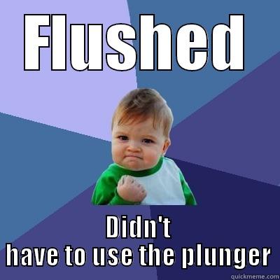 FLUSHED DIDN'T HAVE TO USE THE PLUNGER Success Kid