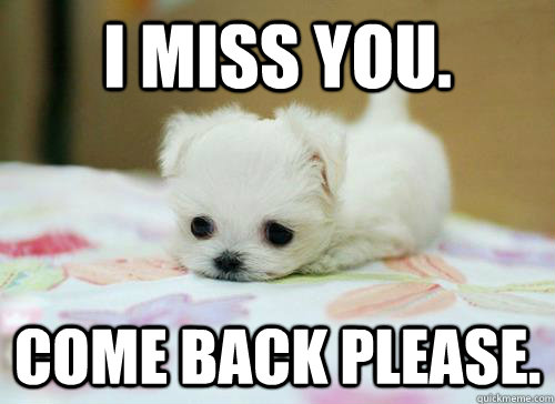 I miss you. Come back please. - I miss you. Come back please.  I Miss You