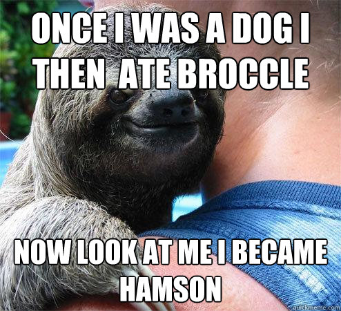 ONCE I WAS A DOG I THEN  ATE BROCCLE NOW LOOK AT ME I BECAME HAMSON  Suspiciously Evil Sloth