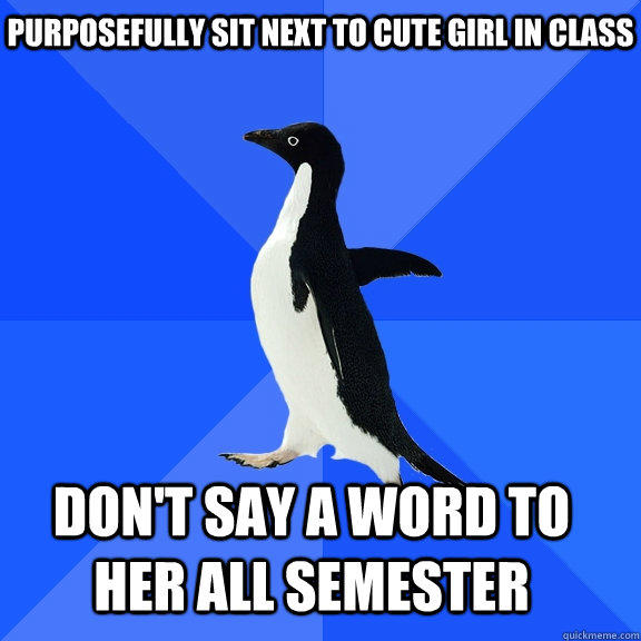 Purposefully sit next to cute girl in class Don't say a word to her all semester   - Purposefully sit next to cute girl in class Don't say a word to her all semester    Socially Awkward Penguin