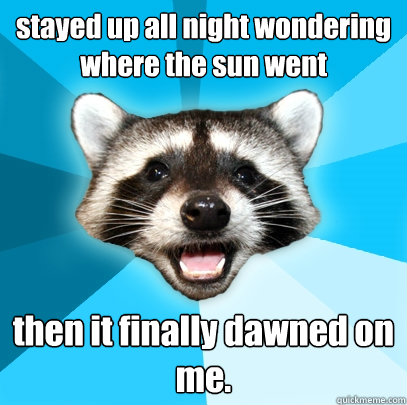 stayed up all night wondering where the sun went then it finally dawned on me.   Lame Pun Coon