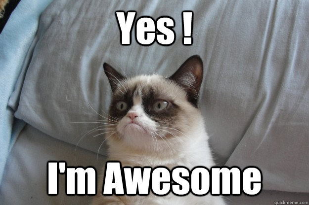 Yes ! I'm Awesome - Yes ! I'm Awesome  Misc