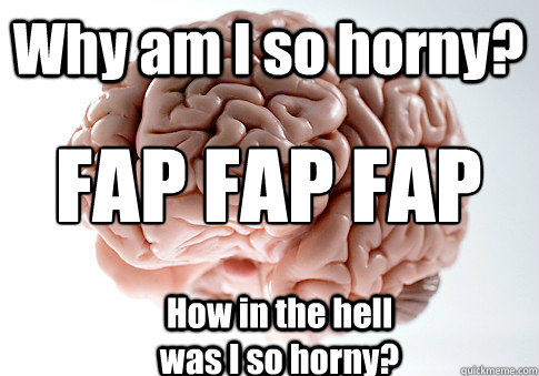 Why am I so horny?  FAP FAP FAP How in the hell was I so horny? - Why am I so horny?  FAP FAP FAP How in the hell was I so horny?  Scumbag Brain