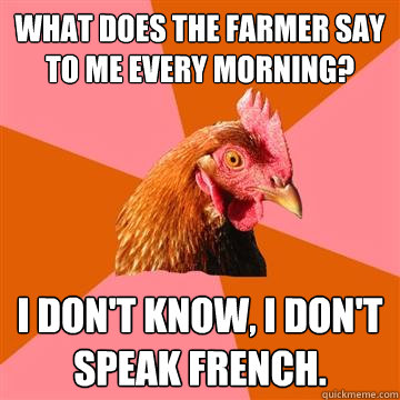 What does the farmer say to me every morning? I don't know, I don't speak french. - What does the farmer say to me every morning? I don't know, I don't speak french.  Anti-Joke Chicken