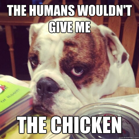 The humans wouldn't give me the chicken  