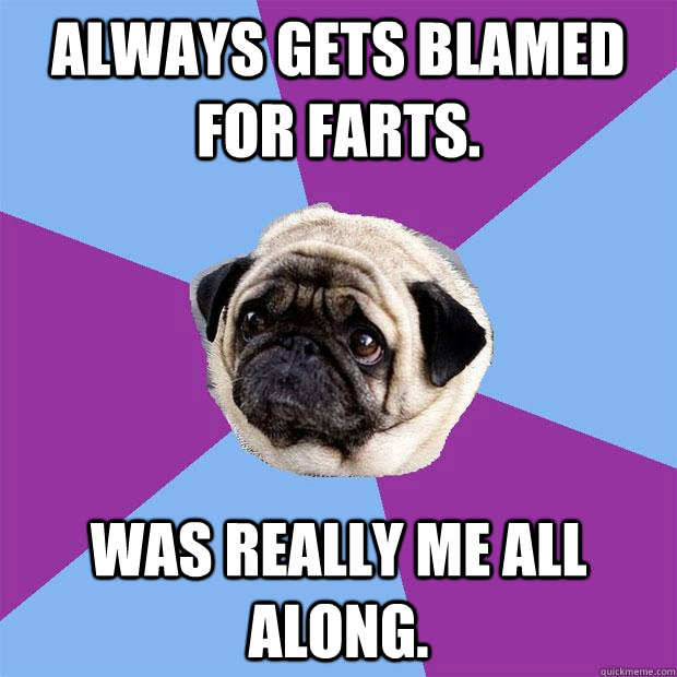 Always gets blamed for farts. Was really me all along.  Lonely Pug