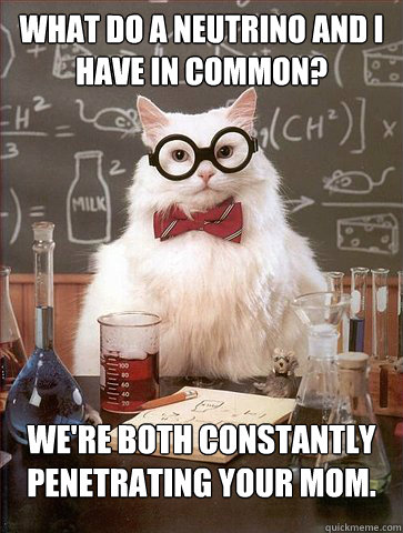 What do a neutrino and I have in common?

 We're both constantly penetrating your mom.  Science Cat
