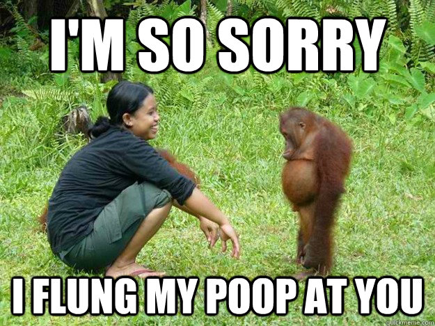 I'm So Sorry I flung my poop at you - I'm So Sorry I flung my poop at you  Regretful Monkey