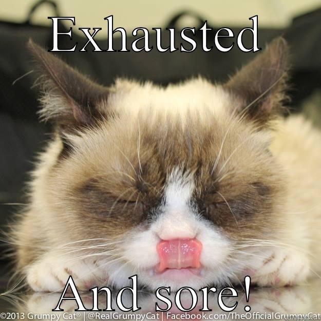 EXHAUSTED AND SORE! Misc